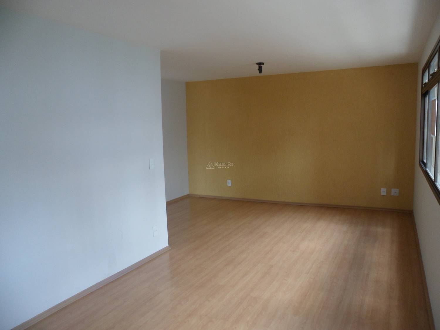 Apartamento em Cambuí, Campinas - Apartamento - Cambuí - Foto 8