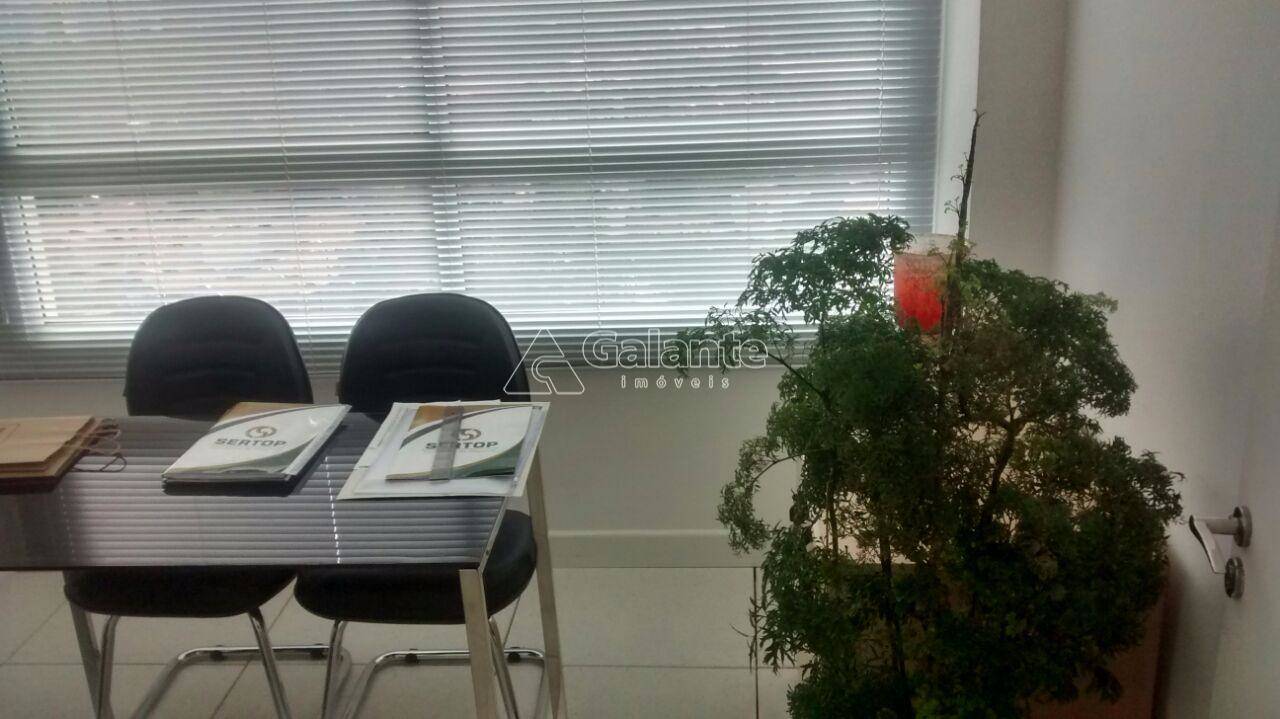 Comercial/Industrial em Cambuí, Campinas - Comercial/Industrial - Cambuí - Foto 5