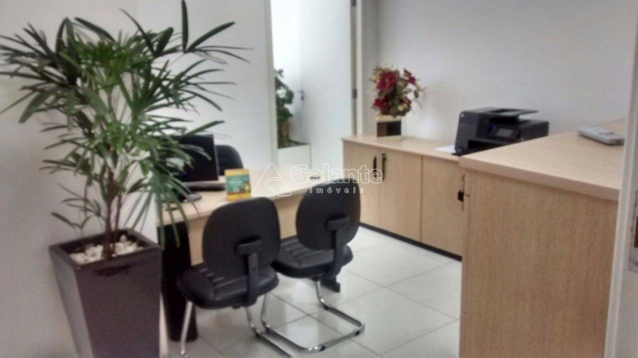 Comercial/Industrial em Cambuí, Campinas - Comercial/Industrial - Cambuí - Foto 7