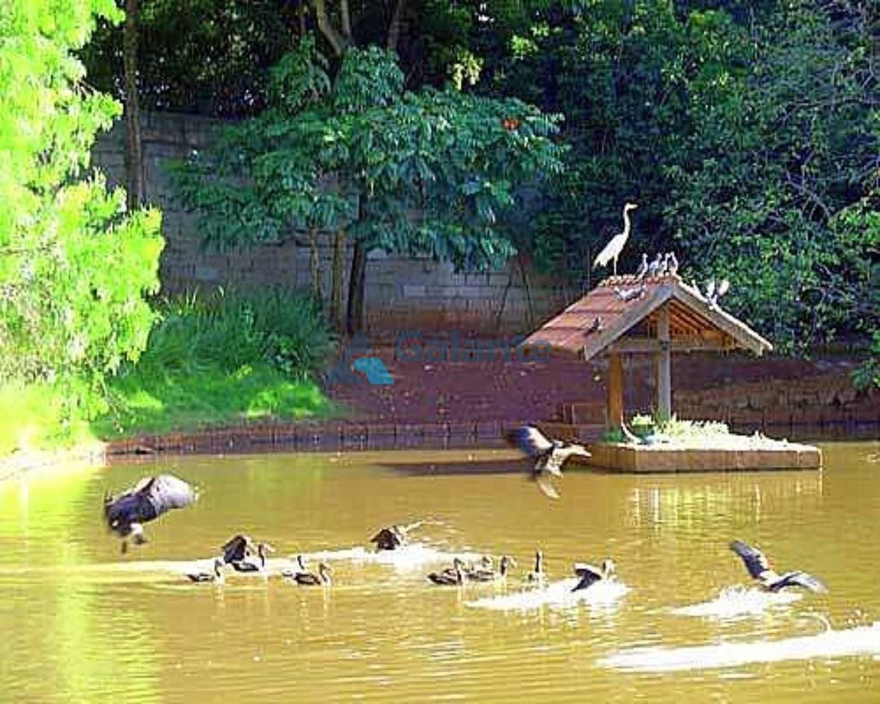 Casa em Barão Geraldo, Campinas - Casa - Barão Geraldo - Foto 6