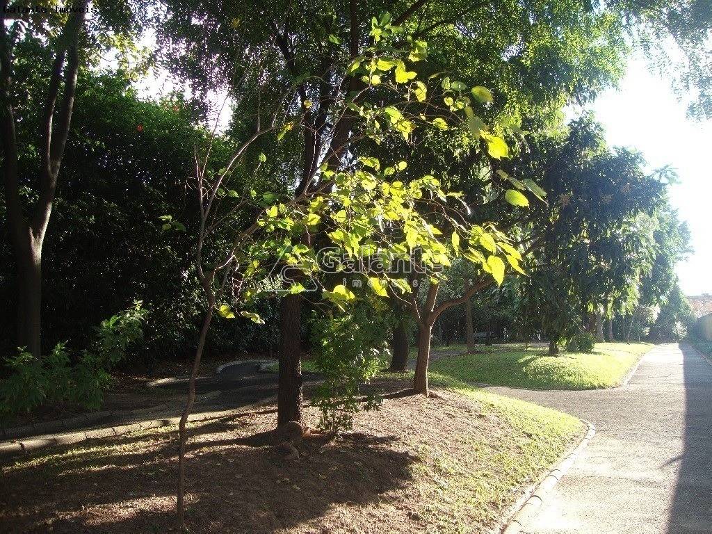 Apartamento em Bonfim, Campinas - Foto 8