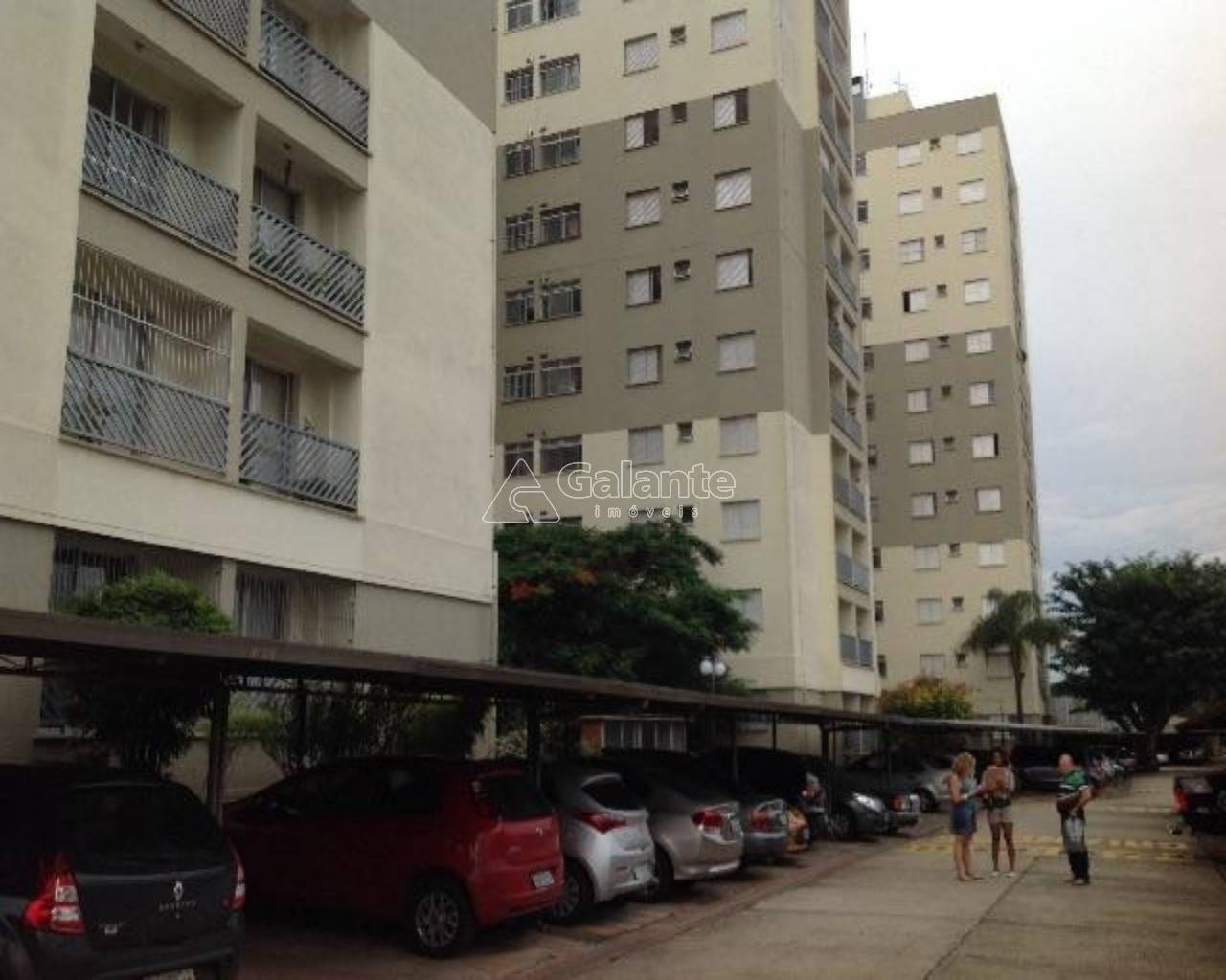 Apartamento em Bonfim, Campinas - Apartamento - Bonfim - Foto 2