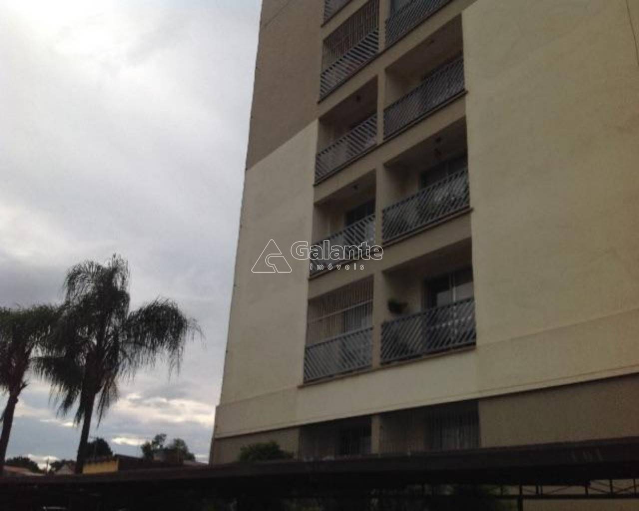 Apartamento em Bonfim, Campinas - Apartamento - Bonfim - Foto 1