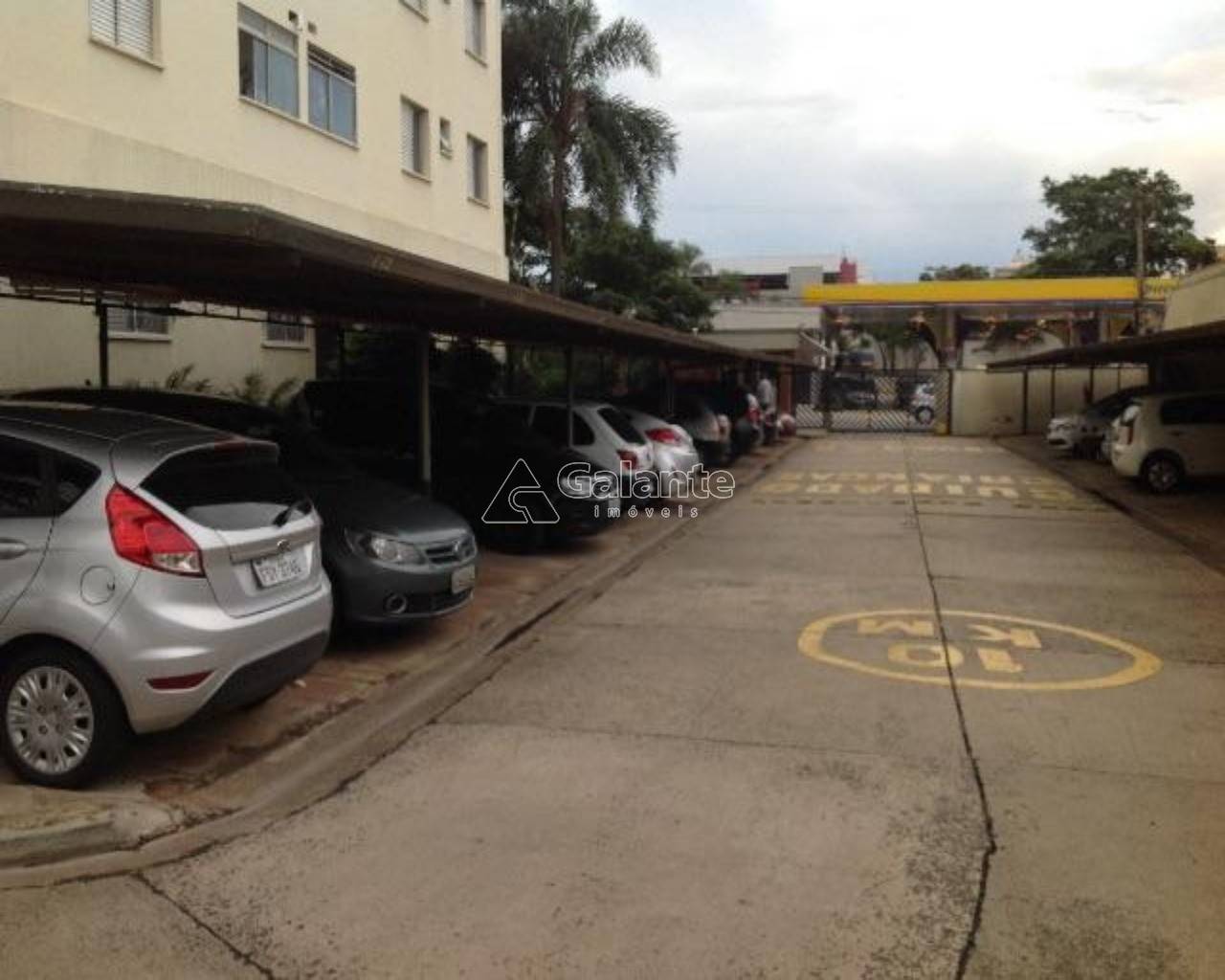 Apartamento em Bonfim, Campinas - Foto 8