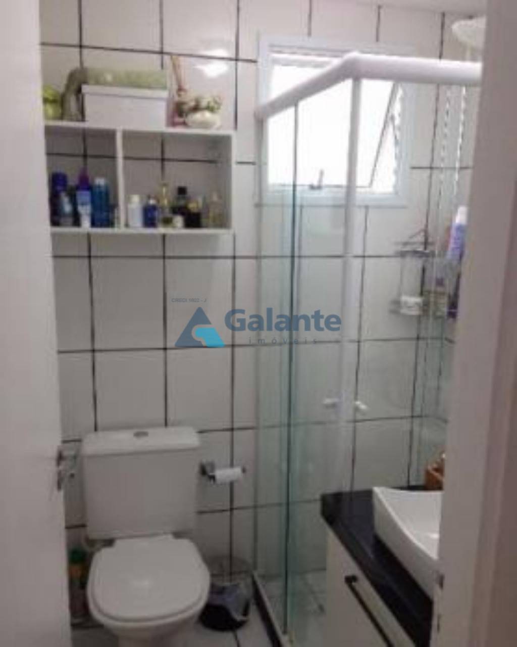 Apartamento em Bonfim, Campinas - Foto 12