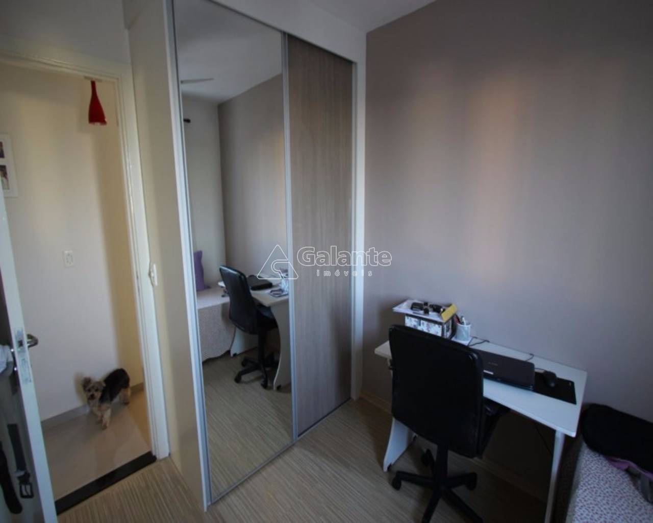 Apartamento em Bonfim, Campinas - Foto 17