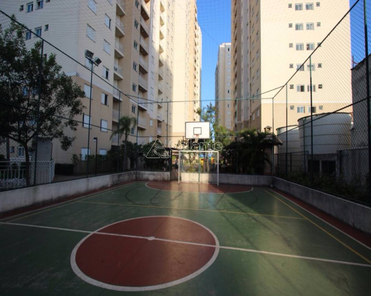 Apartamento em Bonfim, Campinas - Foto 6