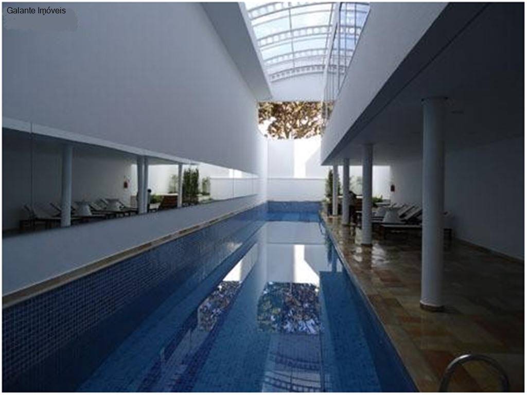 Apartamento em Cambuí, Campinas - Apartamento - Cambuí - Foto 3
