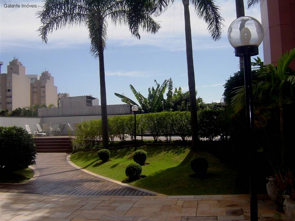 Apartamento em Cambuí, Campinas - Foto 8