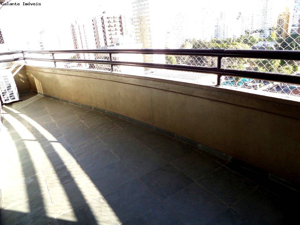 Apartamento em Cambuí, Campinas - Apartamento - Cambuí - Foto 2