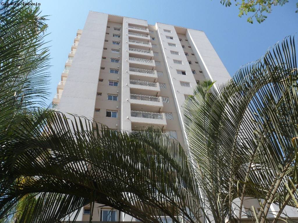 Apartamento em Centro, Campinas - Apartamento - Centro - Foto 1