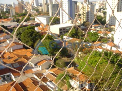 Apartamento em Cambuí, Campinas - Apartamento - Cambuí - Foto 38