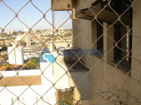 Apartamento em Cambuí, Campinas - Apartamento - Cambuí - Foto 28