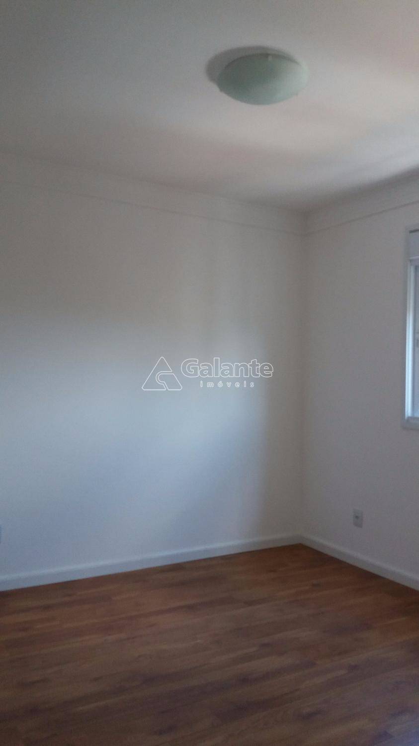 Apartamento em Cambuí, Campinas - Apartamento - Cambuí - Foto 8