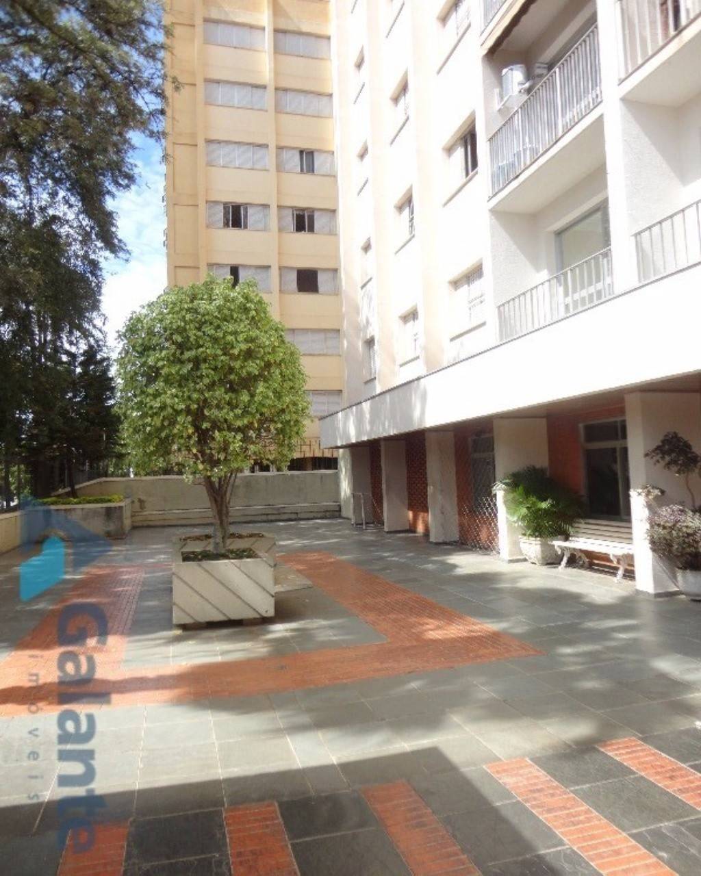 Apartamento em Cambuí, Campinas - Foto 18