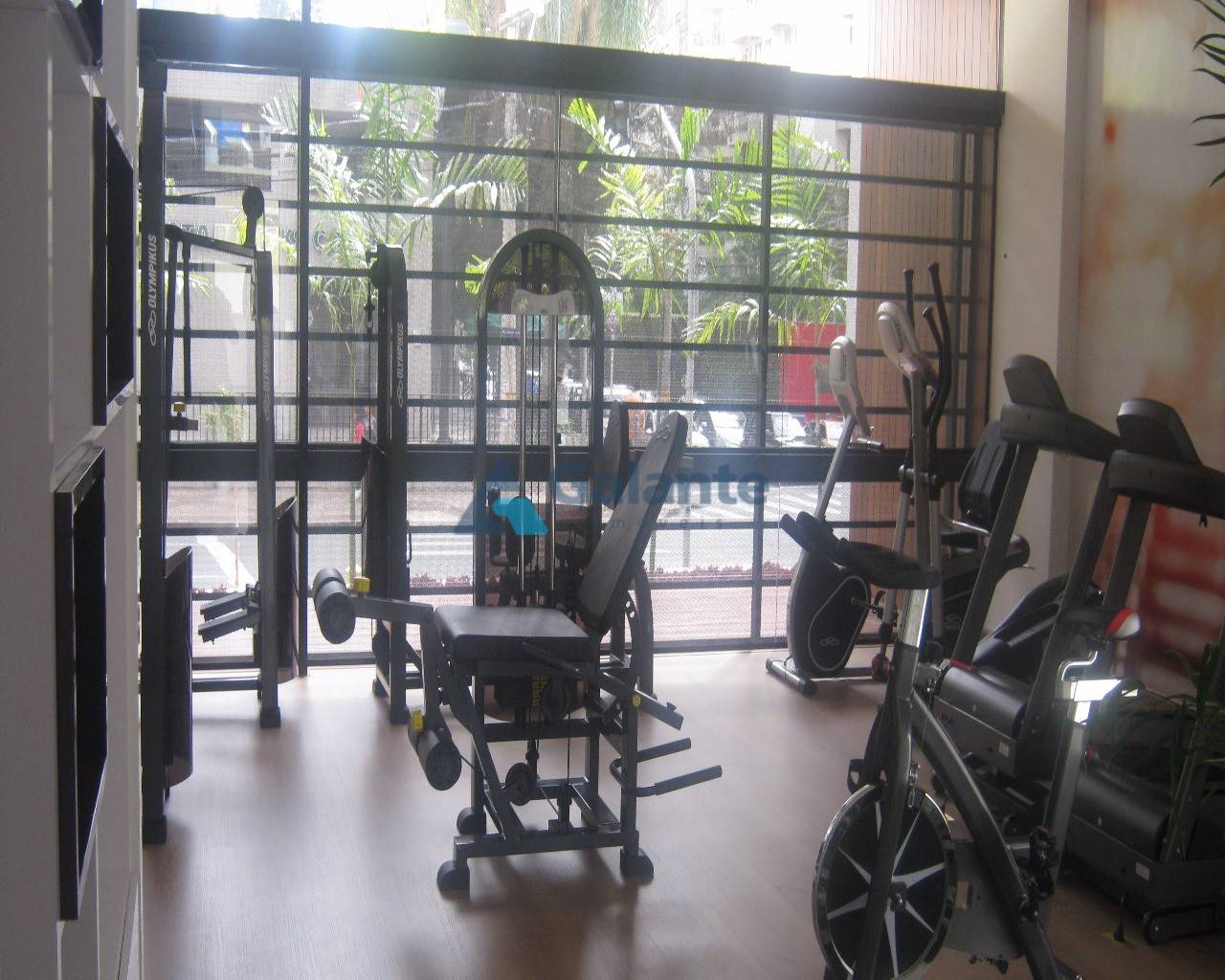 Apartamento em Cambuí, Campinas - Apartamento - Cambuí - Foto 7