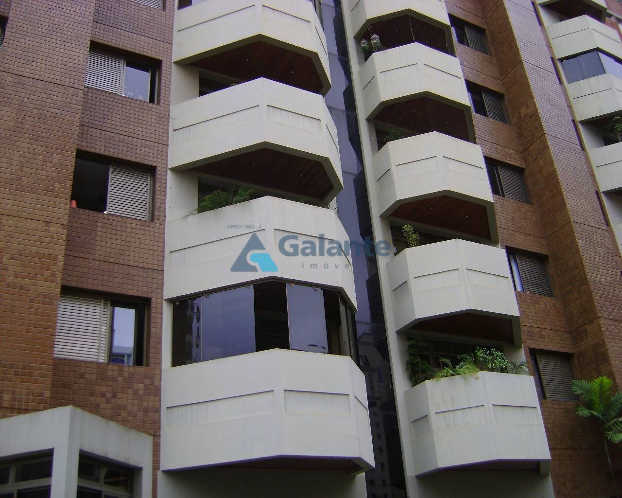 Apartamento em Cambui, Campinas - Apartamento - Cambui - Foto 8