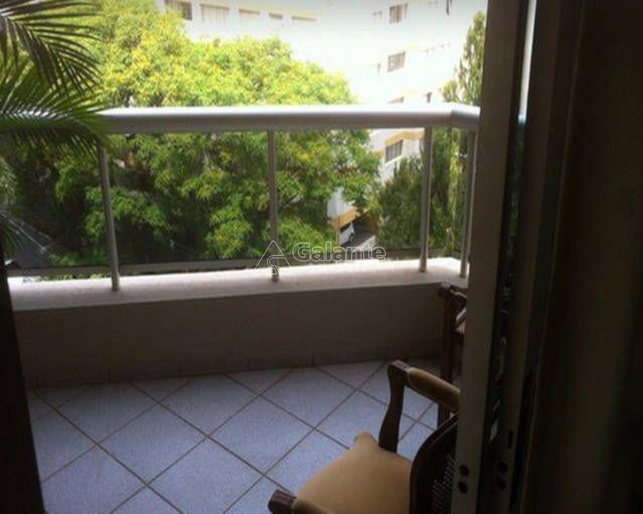 Apartamento em Cambuí, Campinas - Apartamento - Cambuí - Foto 2