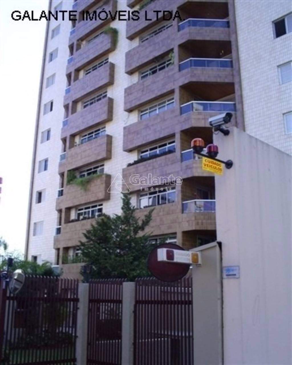 Apartamento em Cambuí, Campinas - Foto 6