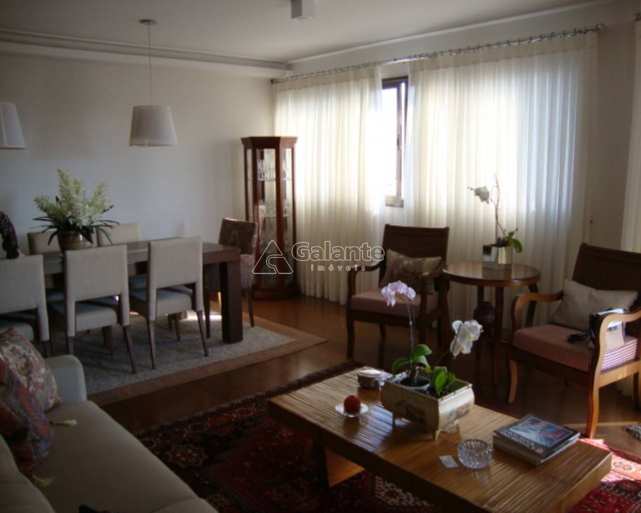 Apartamento em Cambuí, Campinas - Foto 4