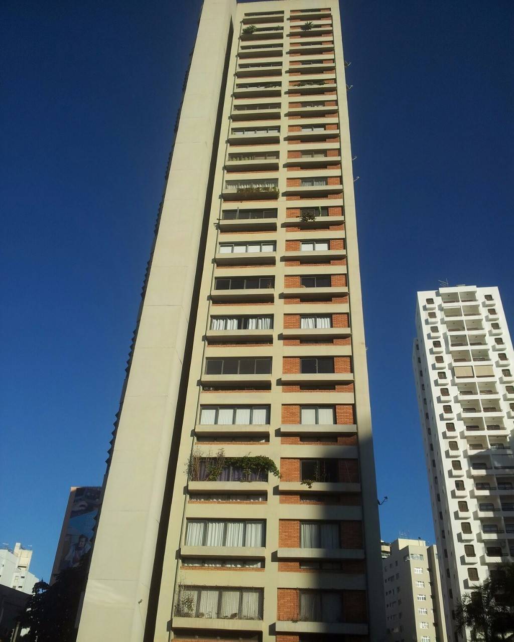Apartamento em Cambuí, Campinas - Apartamento - Cambuí - Foto 3