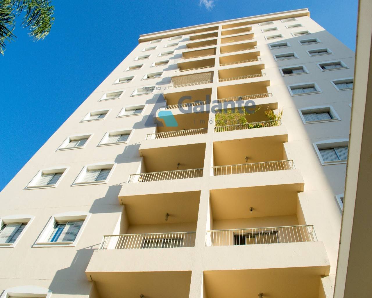 Apartamento em Cambuí, Campinas - Apartamento - Cambuí - Foto 1