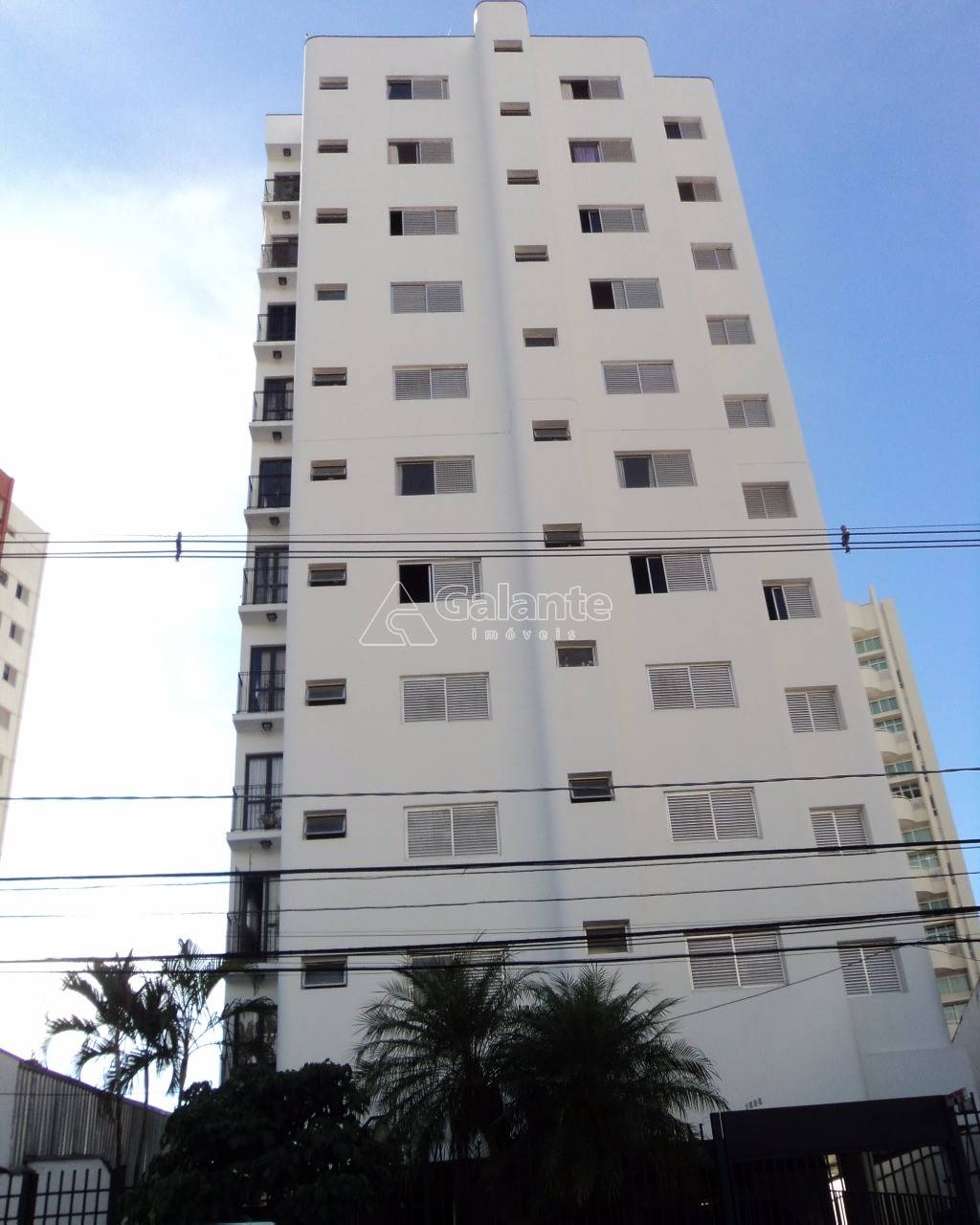 Apartamento em Cambuí, Campinas - Apartamento - Cambuí - Foto 1