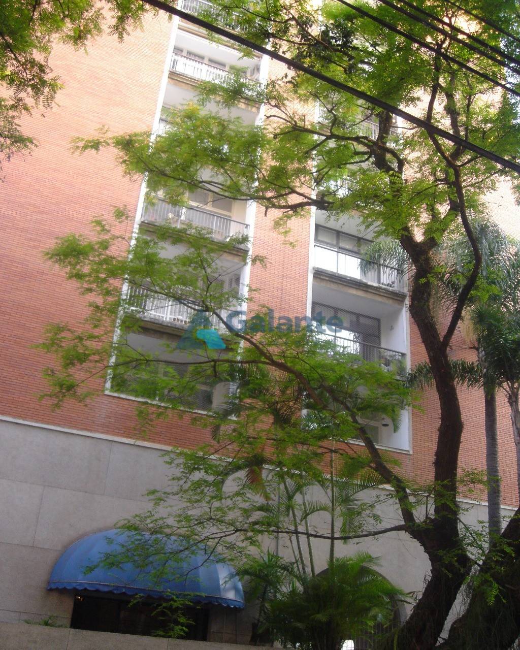 Apartamento em Cambuí, Campinas - Apartamento - Cambuí - Foto 25