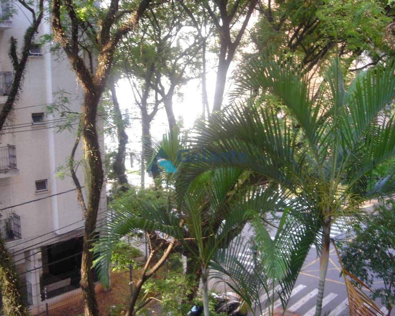 Apartamento em Cambuí, Campinas - Apartamento - Cambuí - Foto 2