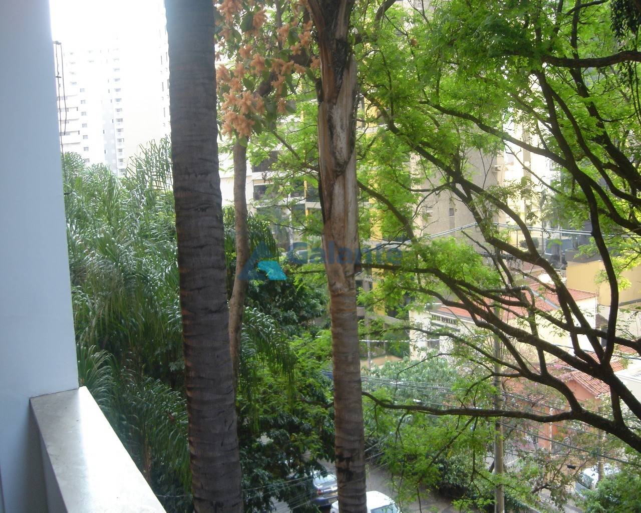 Apartamento em Cambuí, Campinas - Apartamento - Cambuí - Foto 30
