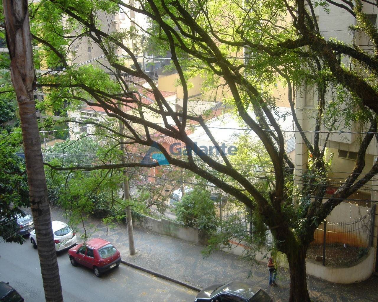 Apartamento em Cambuí, Campinas - Apartamento - Cambuí - Foto 7