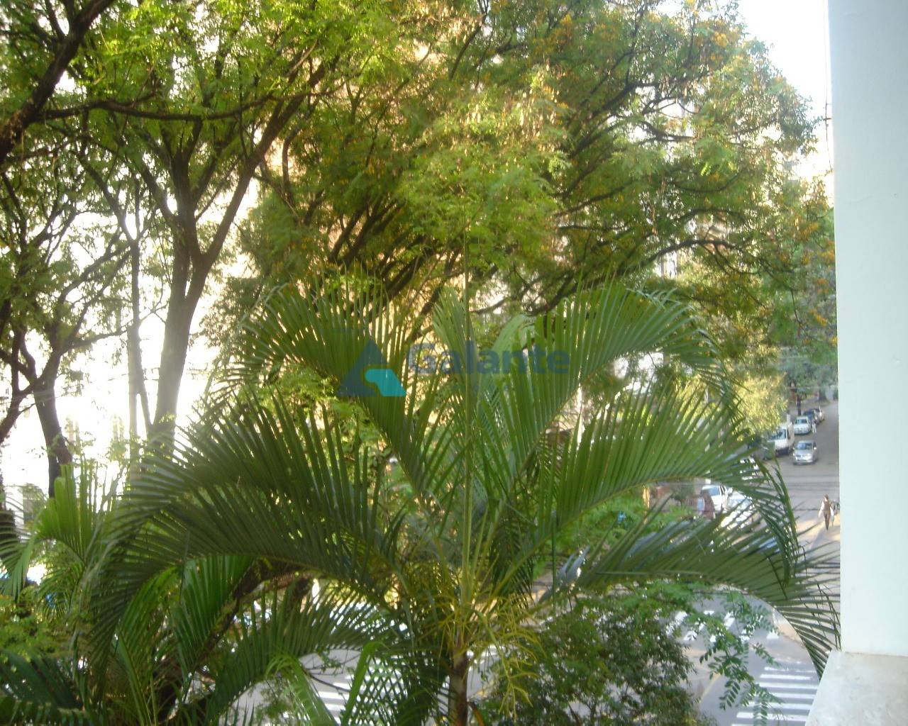 Apartamento em Cambuí, Campinas - Apartamento - Cambuí - Foto 8