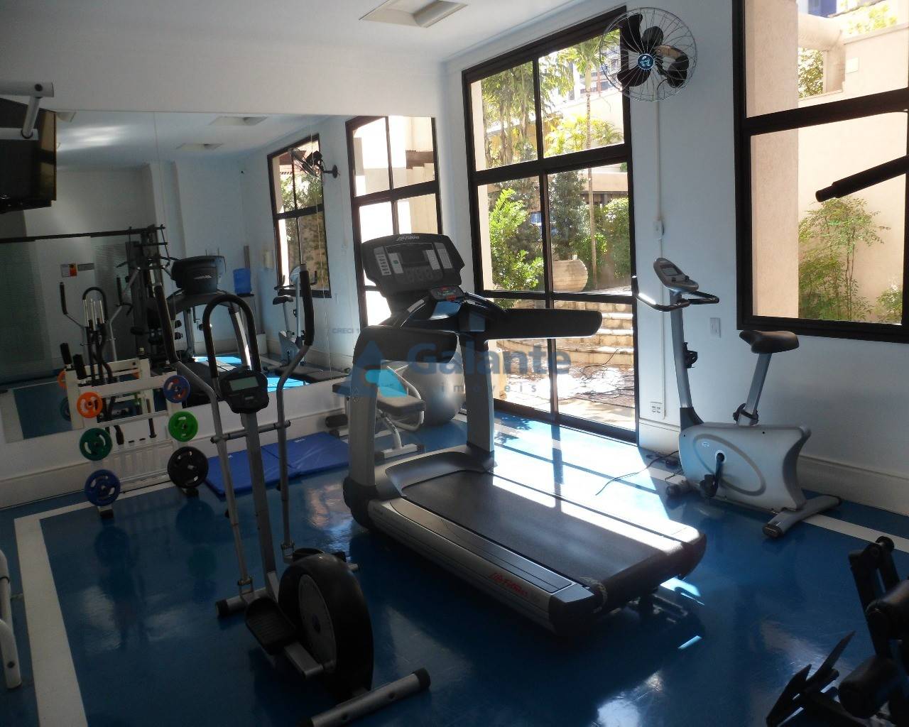 Apartamento em Cambuí, Campinas - Apartamento - Cambuí - Foto 11