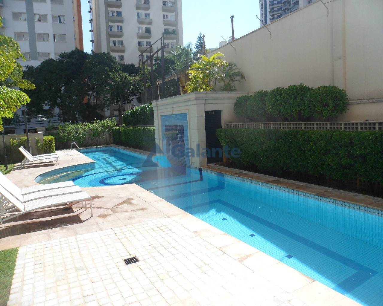 Apartamento em Cambuí, Campinas - Apartamento - Cambuí - Foto 6