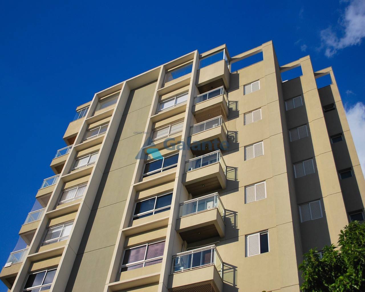 Apartamento em Cambui, Campinas - Apartamento - Cambui - Foto 1