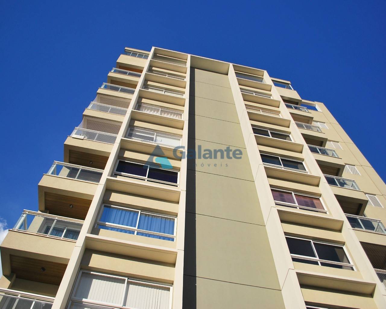 Apartamento em Cambui, Campinas - Apartamento - Cambui - Foto 3
