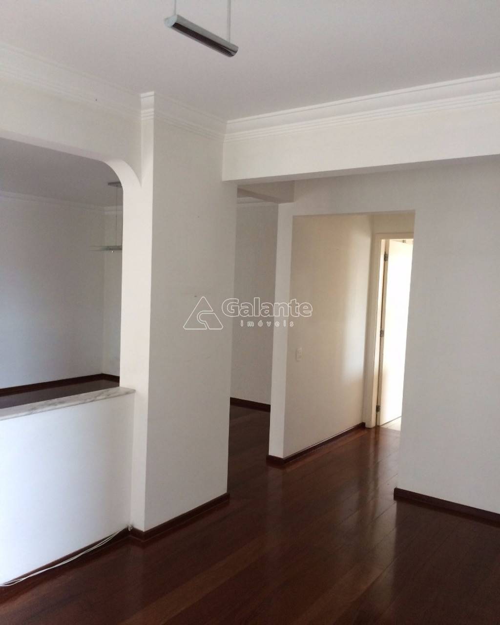Apartamento em Cambuí, Campinas - Foto 8