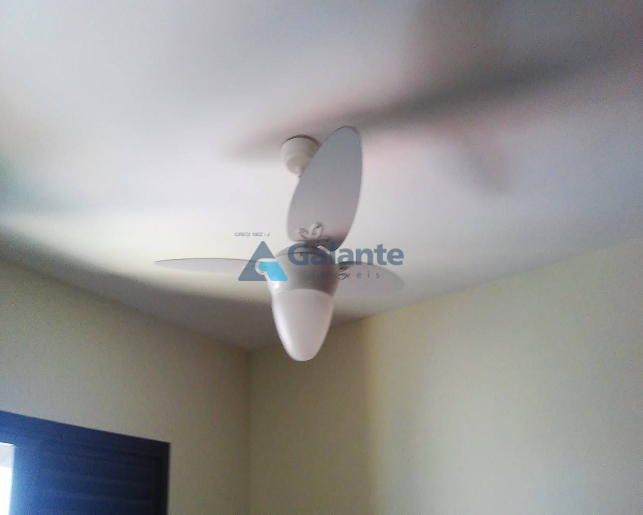 Apartamento em Cambuí, Campinas - Apartamento - Cambuí - Foto 4