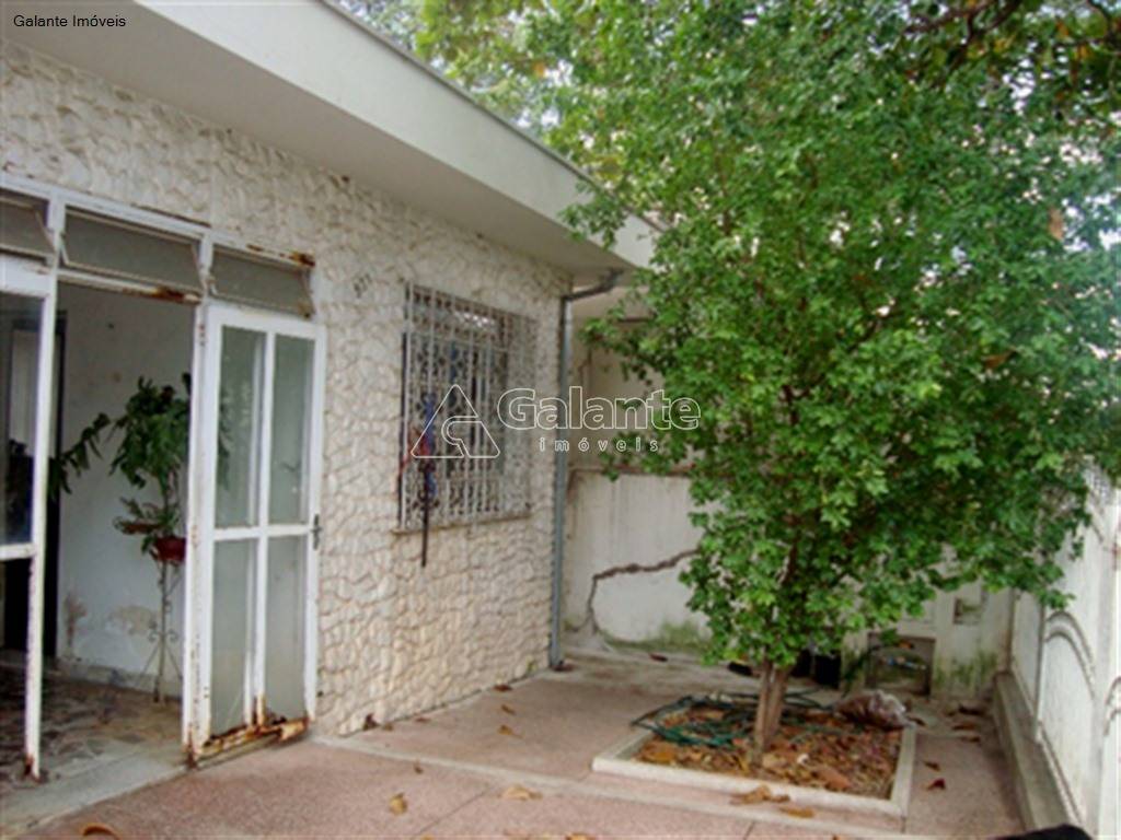Casa em Cambuí, Campinas - Casa - Cambuí - Foto 1