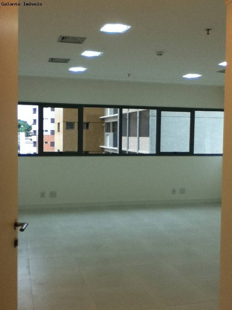 Comercial/Industrial em Cambuí, Campinas - Comercial/Industrial - Cambuí - Foto 2