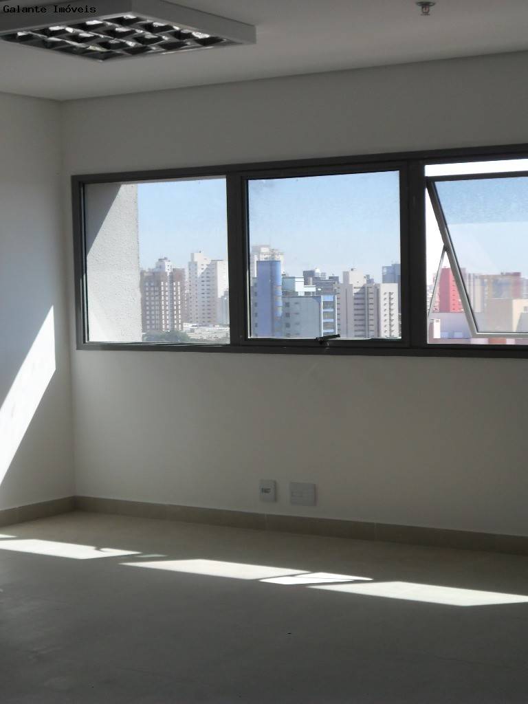 Comercial/Industrial em Cambuí, Campinas - Comercial/Industrial - Cambuí - Foto 6