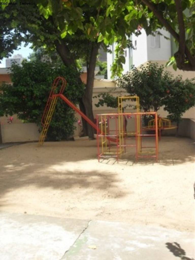 Apartamento em Cambuí, Campinas - Apartamento - Cambuí - Foto 2