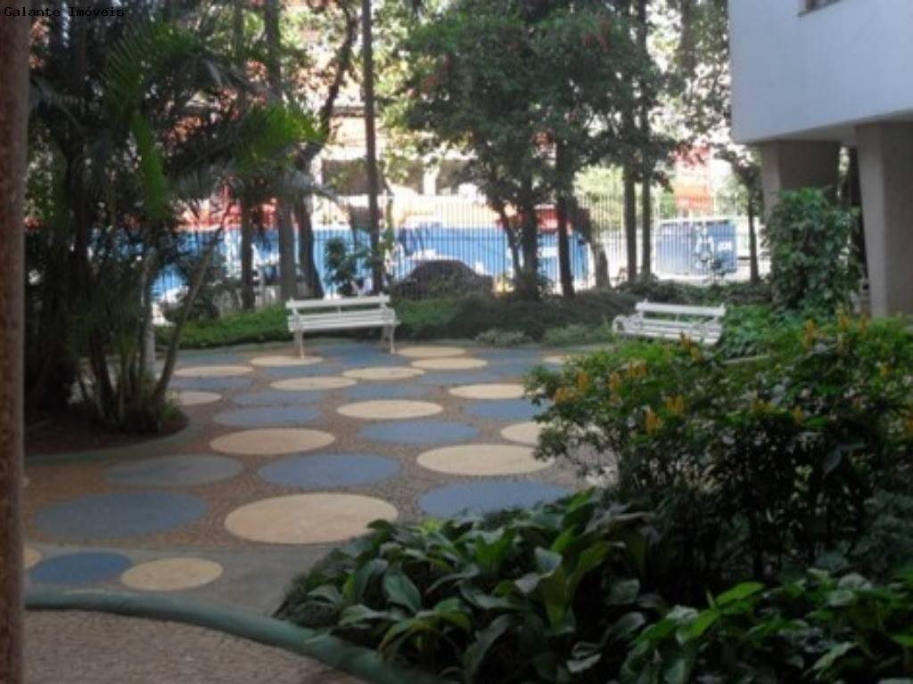 Apartamento em Cambuí, Campinas - Apartamento - Cambuí - Foto 3
