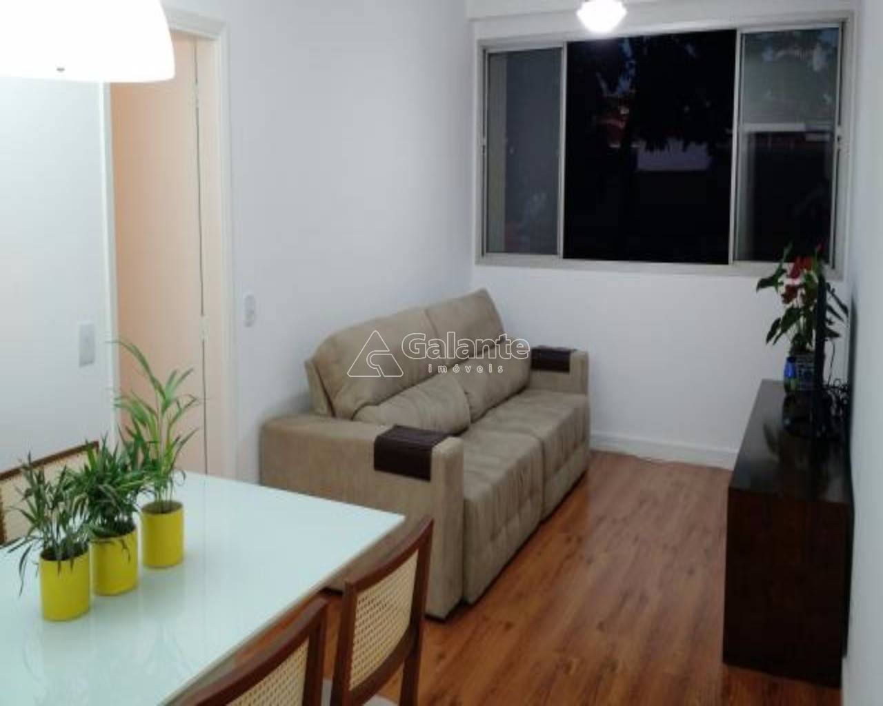 Apartamento em Chácara da Barra, Campinas - Apartamento - Chácara da Barra - Foto 1