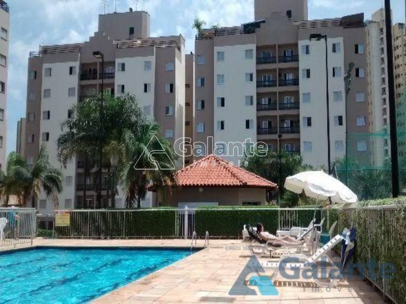 Apartamento em Chácara Primavera, Campinas - Apartamento - Chácara Primavera - Foto 1