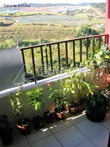 Apartamento em Jardim Antonio Von Zuben, Campinas - Foto 4