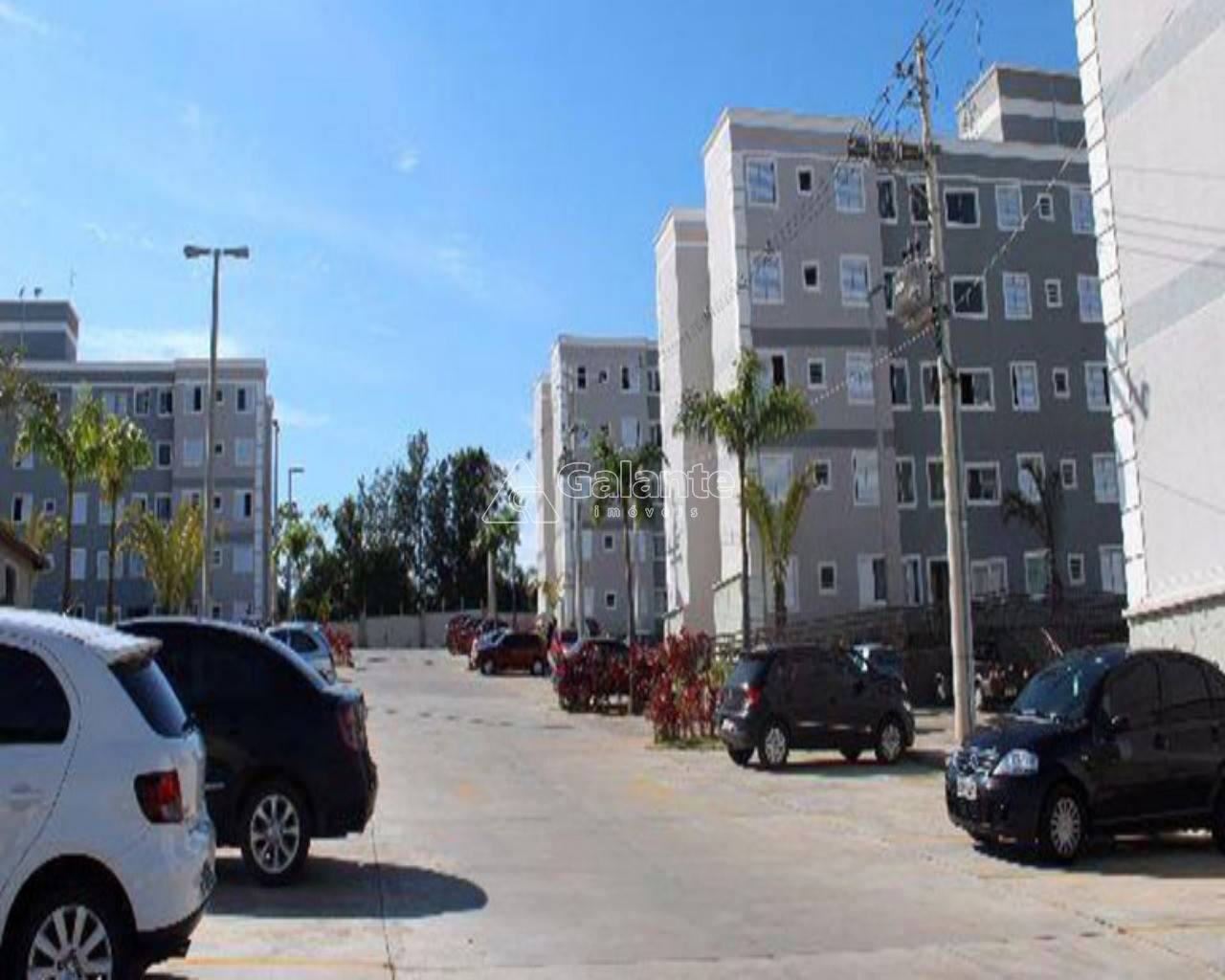 Apartamento em Jardim Antonio Von Zuben, Campinas - Apartamento - Jardim Antonio Von Zuben - Foto 2