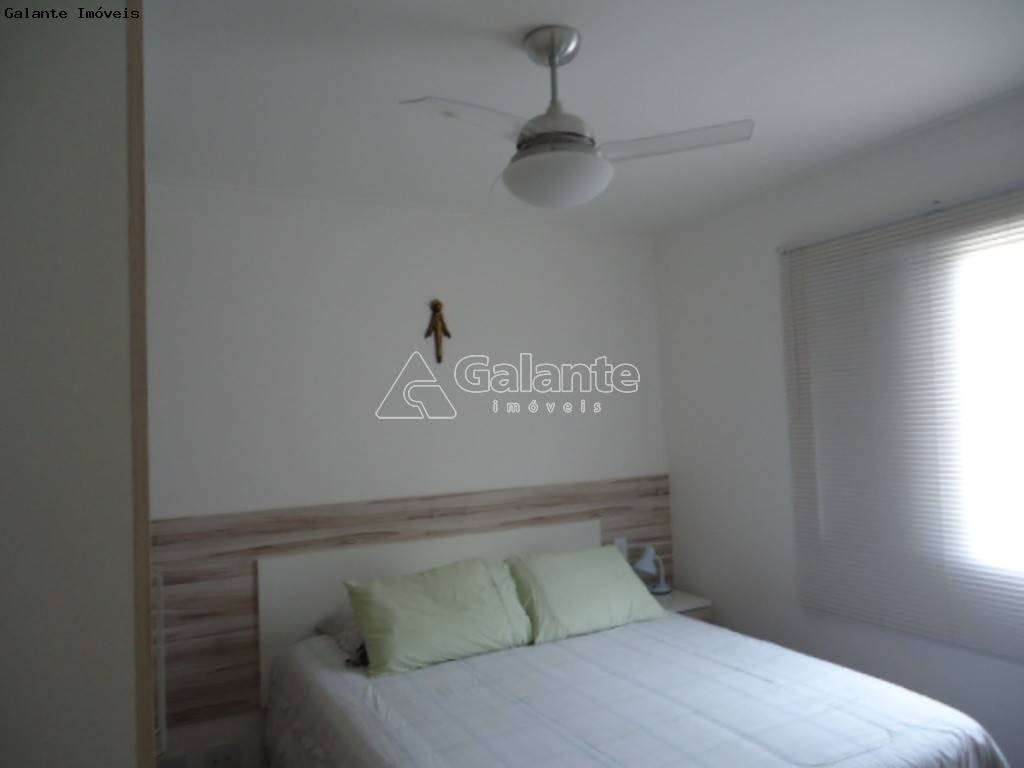 Apartamento em Jardim das Paineiras, Campinas - Foto 4