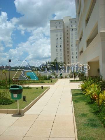 Apartamento em Jardim das Paineiras, Campinas - Apartamento - Jardim das Paineiras - Foto 3