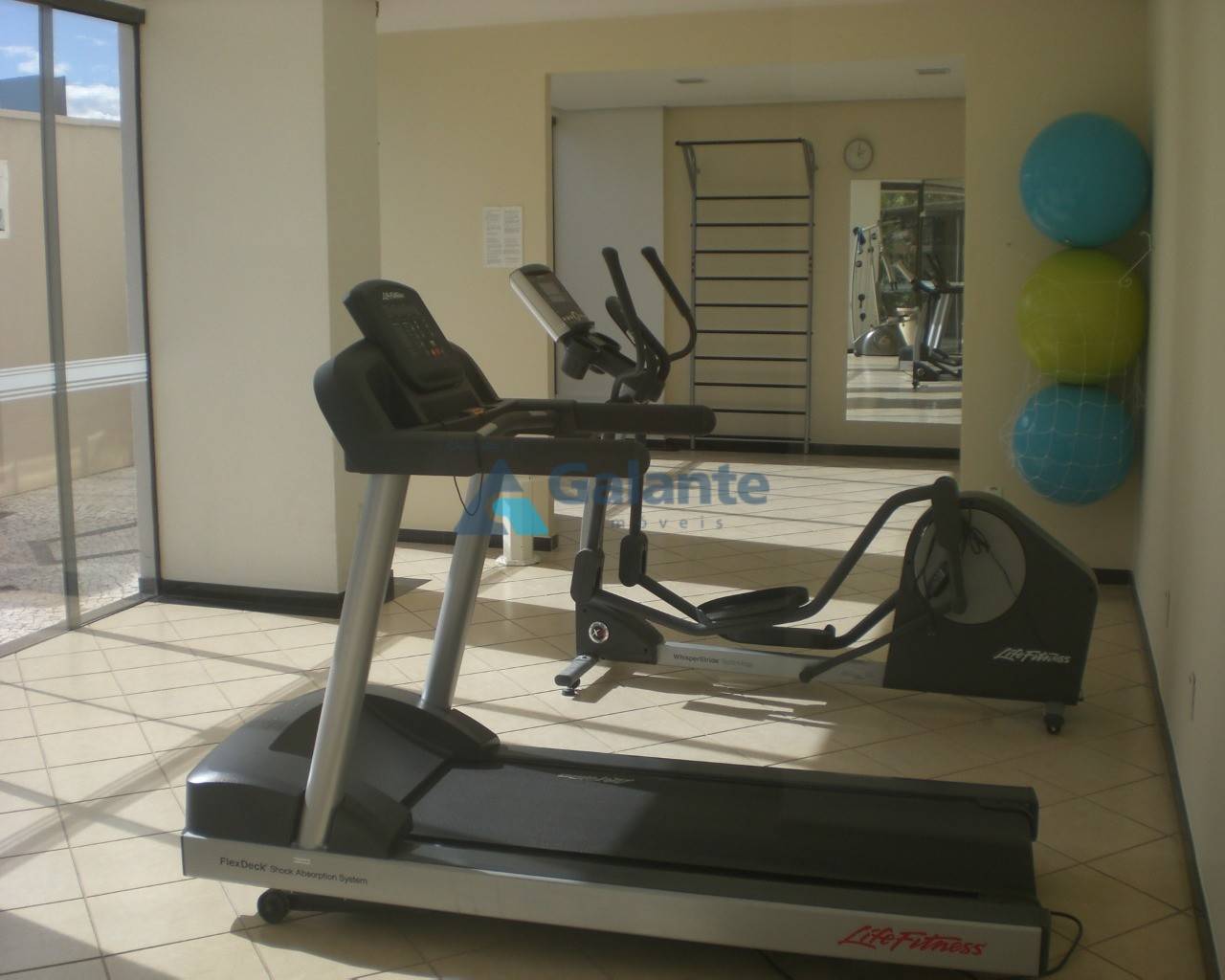Apartamento em Jardim das Paineiras, Campinas - Apartamento - Jardim das Paineiras - Foto 3